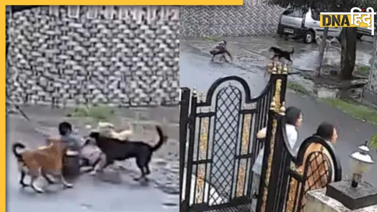 Shocking Video: घर से खेलने निकले बच्चे का कुत्तों ने घेरकर किया 'शिकार', दहला देगा Udaipur का वायरल वीडियो