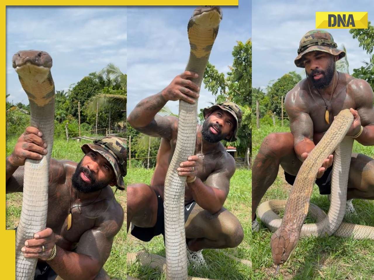 SHOCKING! Man lifts massive king cobra with bare hands, netizens call him..., watch viral video 