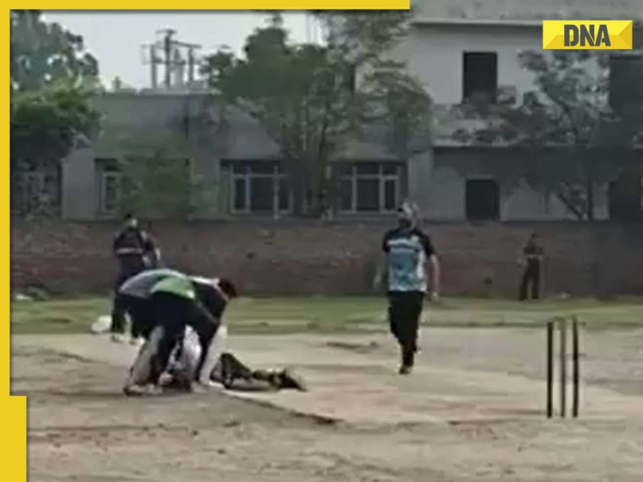 Viral Video: Batter collapses on pitch, dies of heart attack moments after hitting six