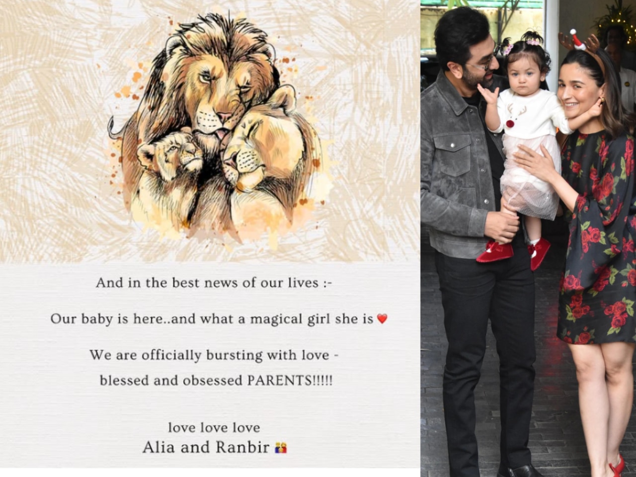 Alia Bhatt’s family of lions