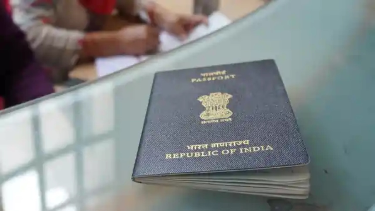 Future scope and integration with police verification