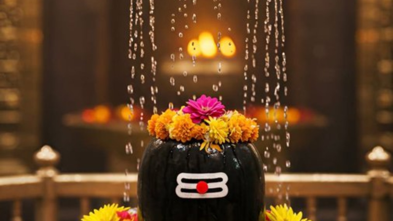 श्रद्धा को मिलेगी नई उड़ान