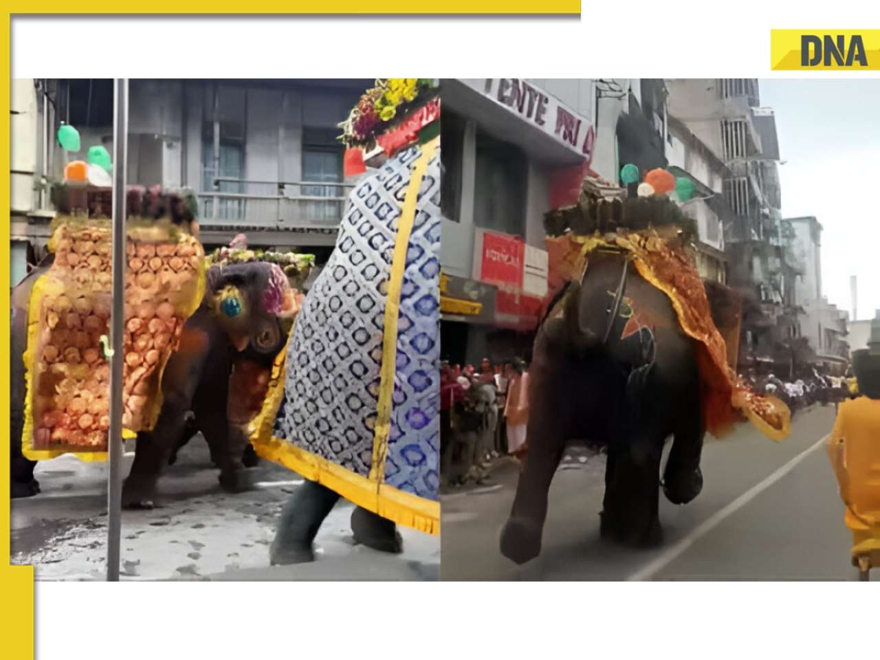 Ahmedabad Rath Yatra: Elephants Panic Mid-Procession, Chaos Caught on Video