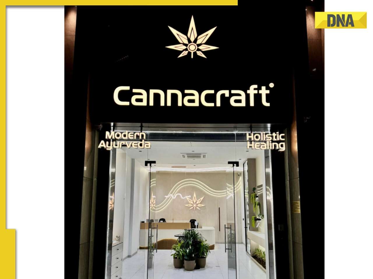 From Taboo to Therapy: The Rise of Ayurvedic Cannabis in India