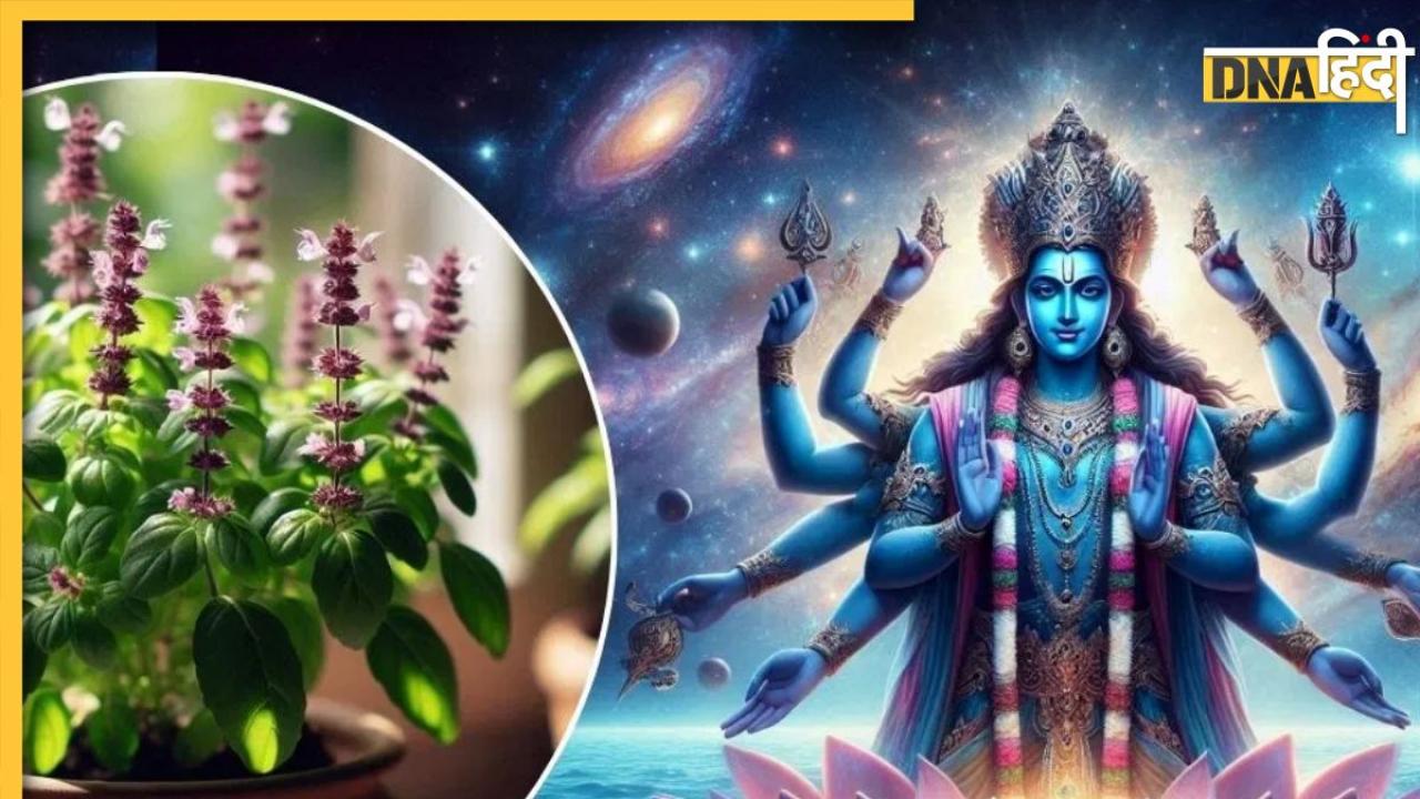 भगवान विष्णु को क्यों प्रिय हैं तुलसी, बिना तुसली के अधूरी मानी जाती है श्री हरि की पूजा और भोग, जानें पूरी कहानी