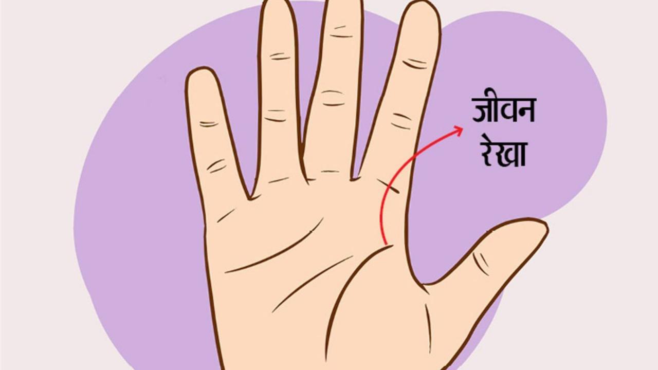 जीवन रेखा