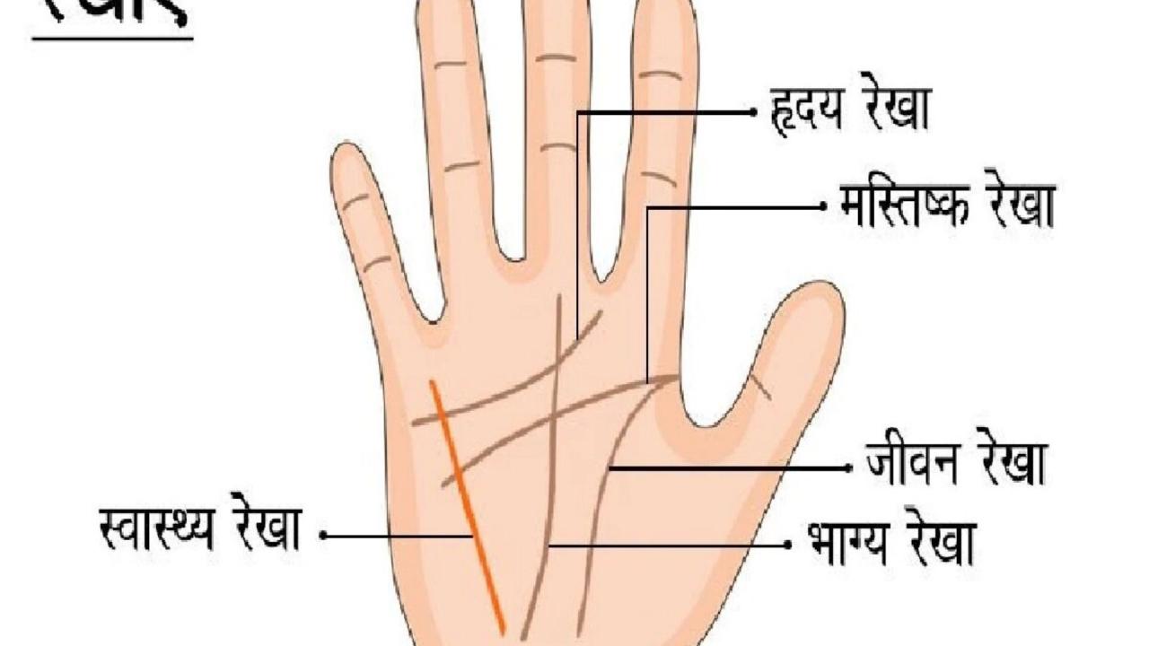 हृदय रेखा