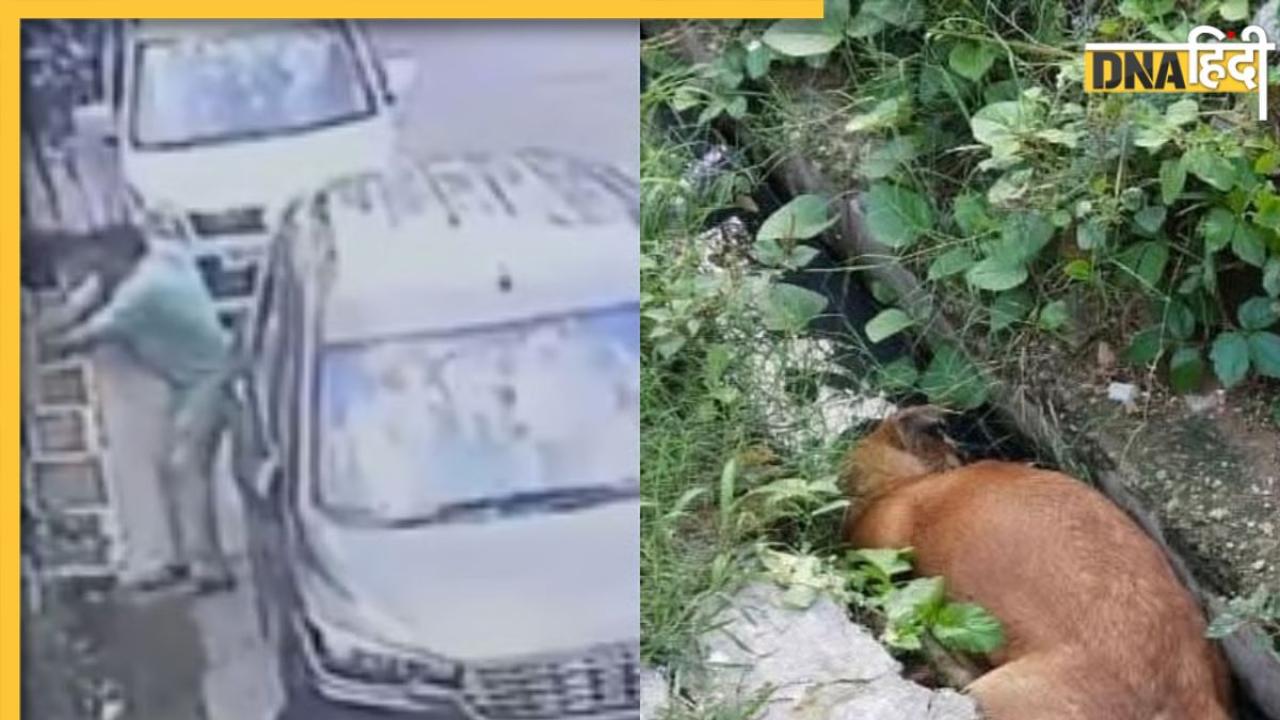 बेरहम शख्स ने कुत्ते पर दागीं पांच गोलियां, आखिरी सांस तक करता रहा धायं-धायं, वीडियो वायरल