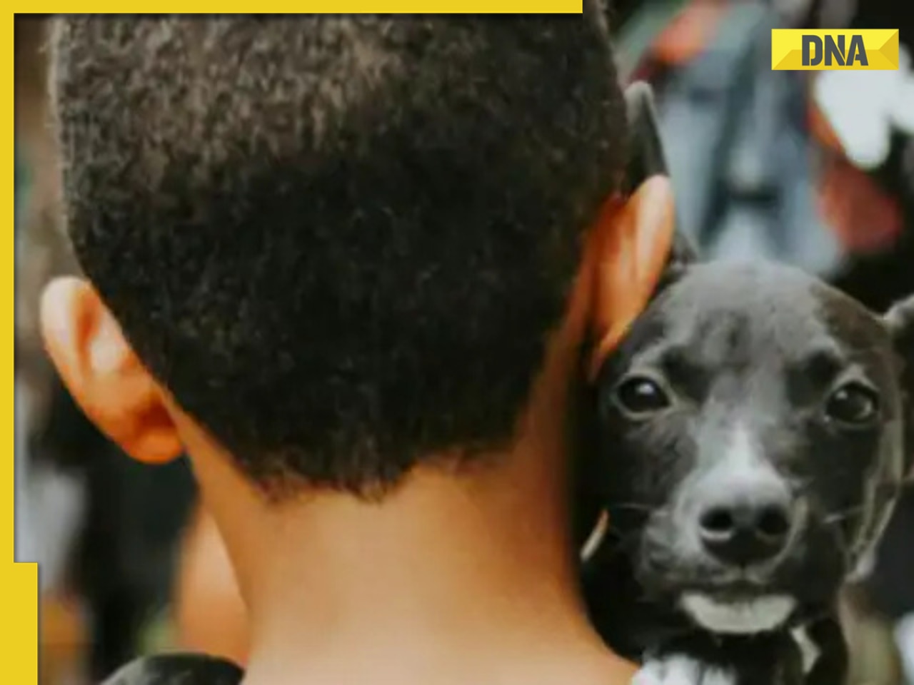 Meet 8-year-old boy, raised by dogs after being abandoned by own family, communicates by barking, he is from…