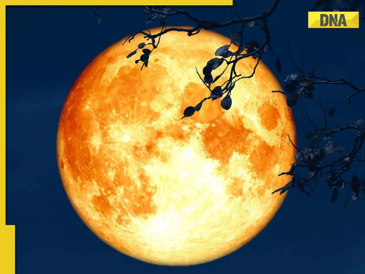 Buck Moon 2025: Here's when and where to watch July full moon; all you need to know