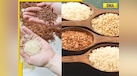  White rice vs brown rice: Which is healthier option for weight loss, control blood sugar level, digestion, more 
