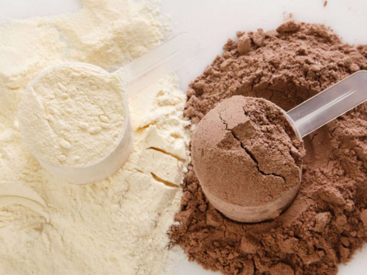Protein Powders in spotlight