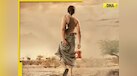  Pankaj Tripathi to Jaideep Ahlawat: These Bollywood stars once worked as watchmen, farmers, now they earn in crores 