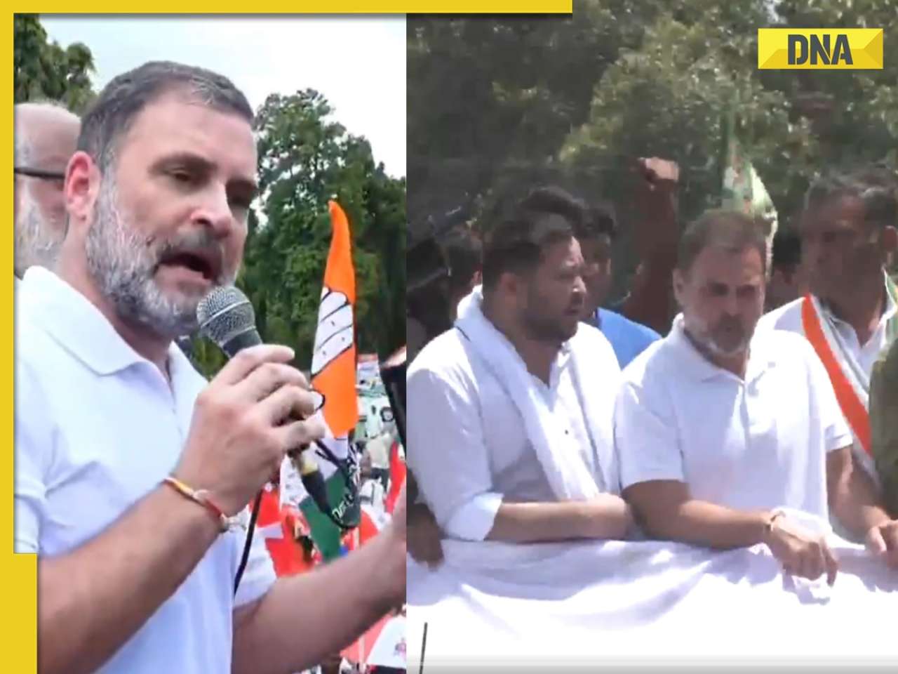 DNA TV Show: Why is there a row over Bihar voter list revision?