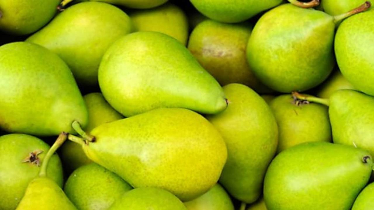 नाशपाती