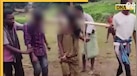 Shocking Video: बुआ के बेटे से शादी पर मिली 'तालिबानी सजा', नवविवाहित जोड़े को बैल की जगह जोतकर चलवाया हल