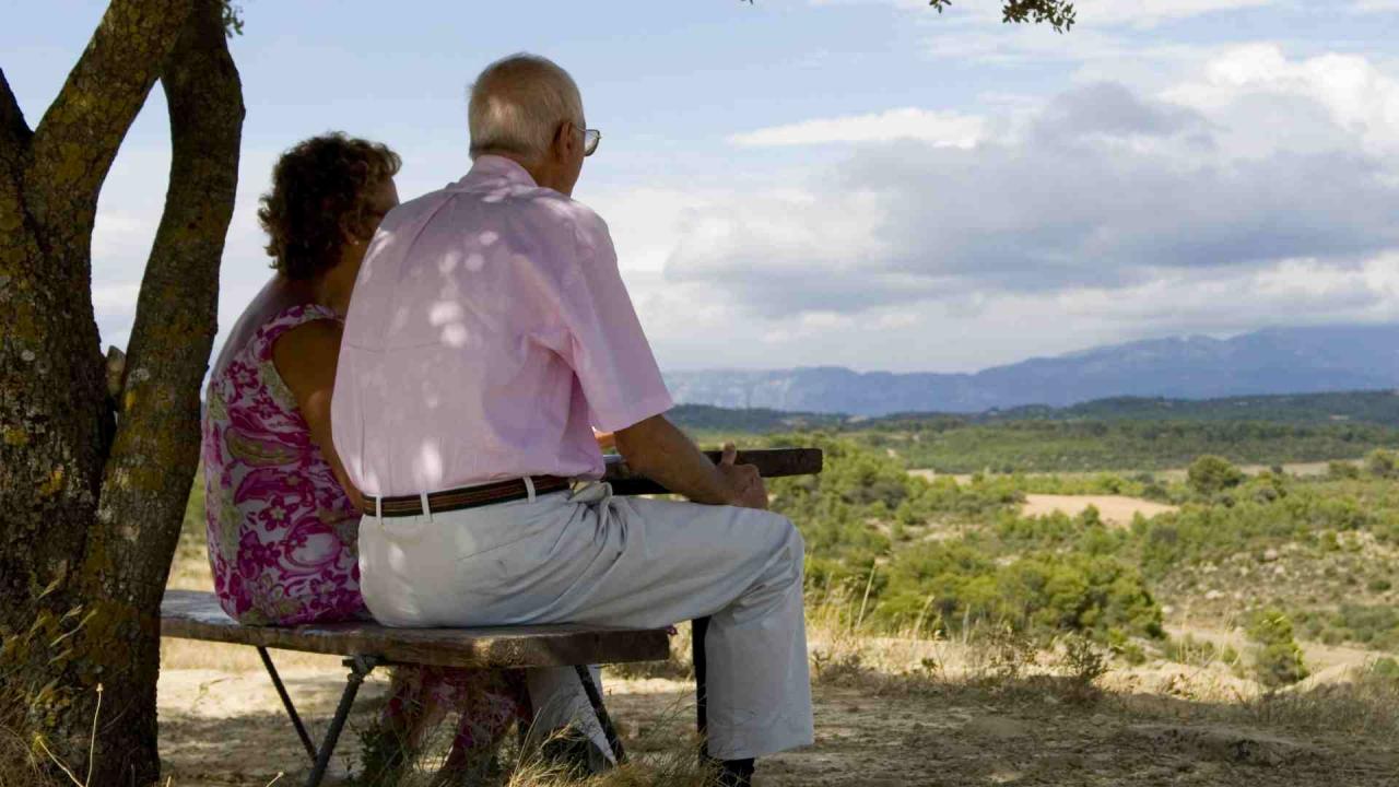 How much Annuity Investment is needed for 1 Lakh rupee pension