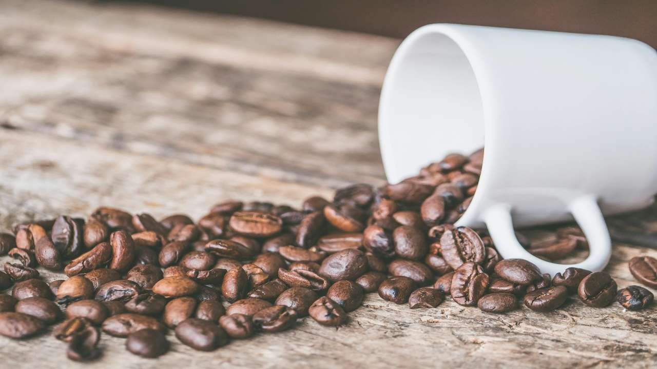 Who shouldn't have ghee coffee?