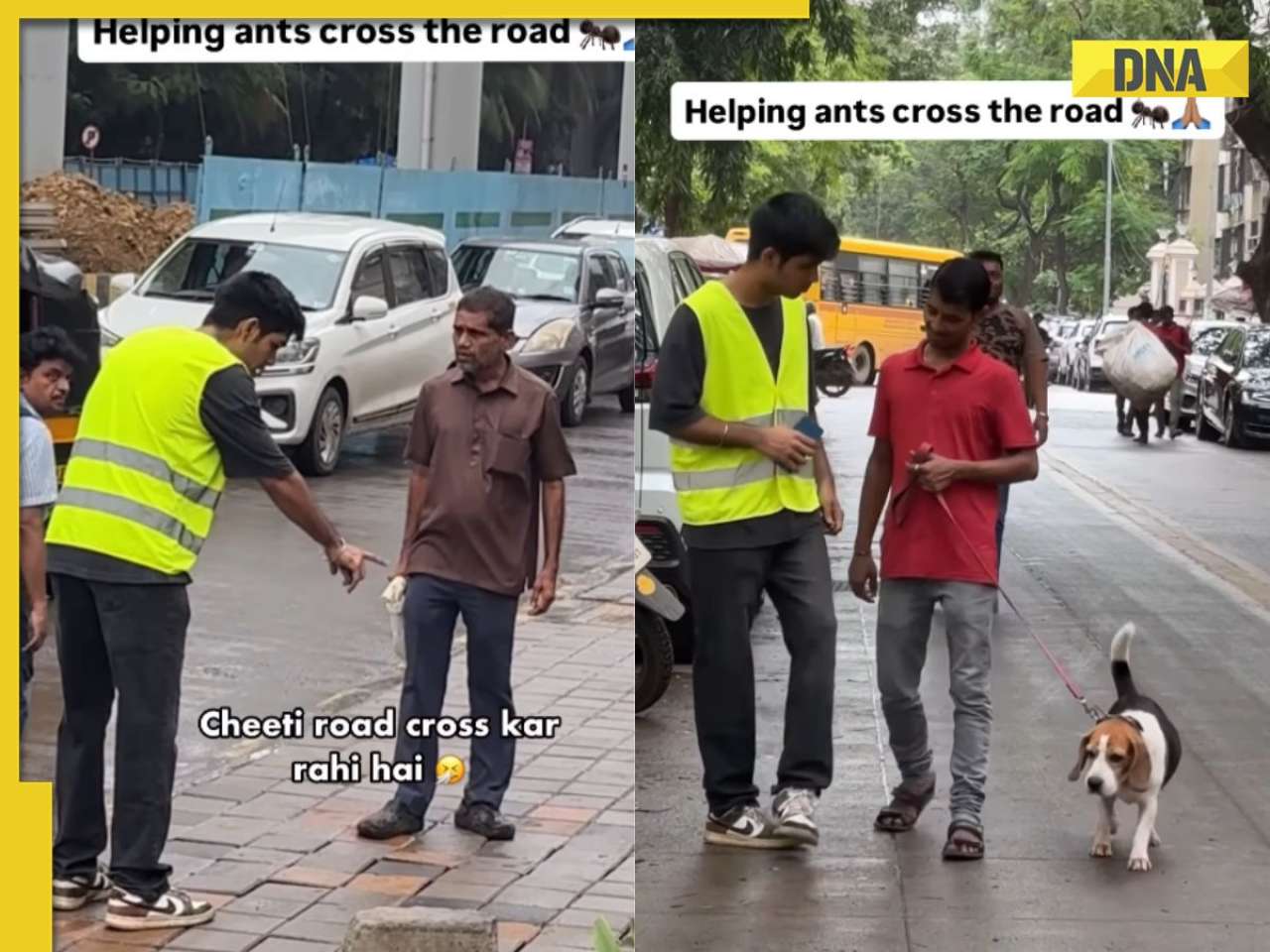 ‘Cheeti bachao, cheeti badhao’: Content creator’s hilarious Rs 1 lakh fine campaign for ants goes viral