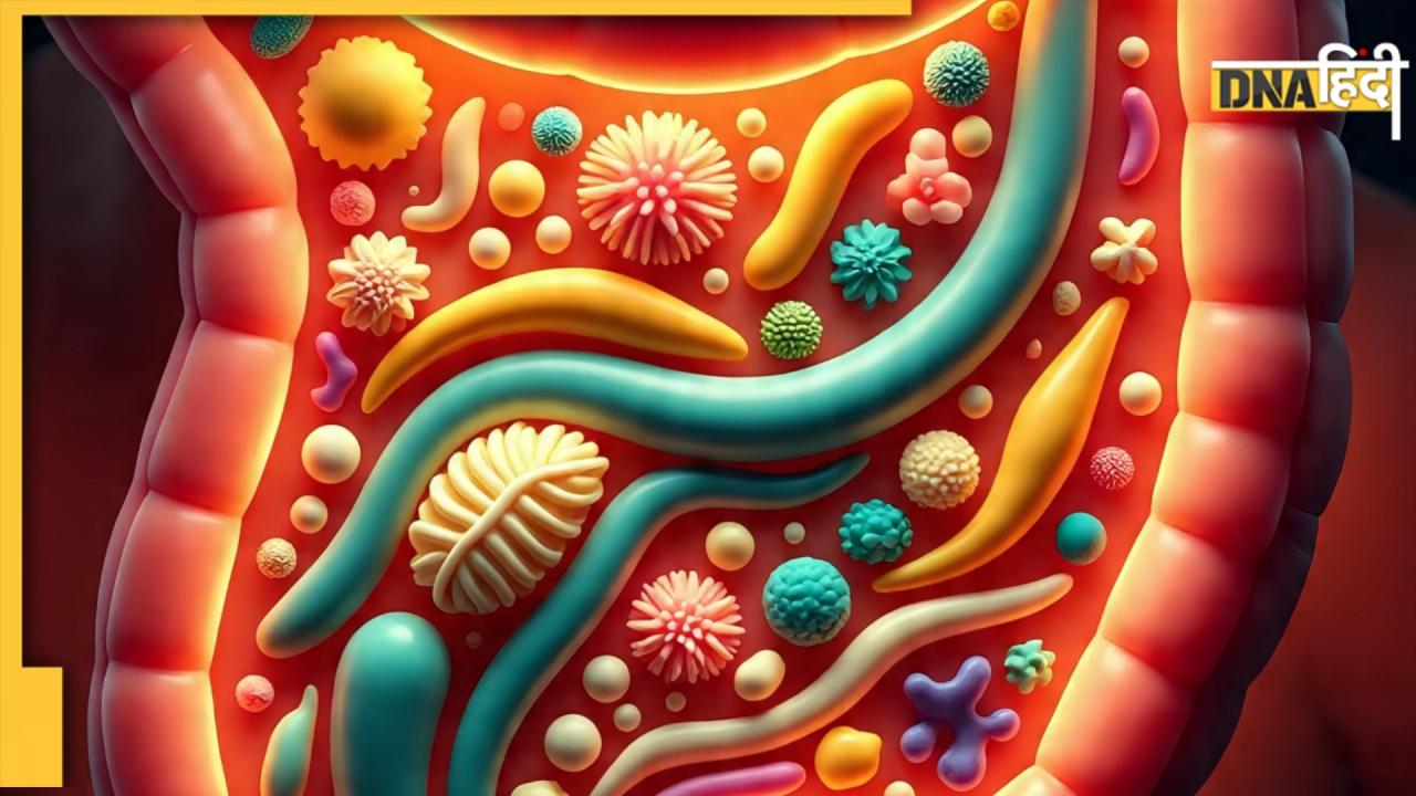 submenu-img