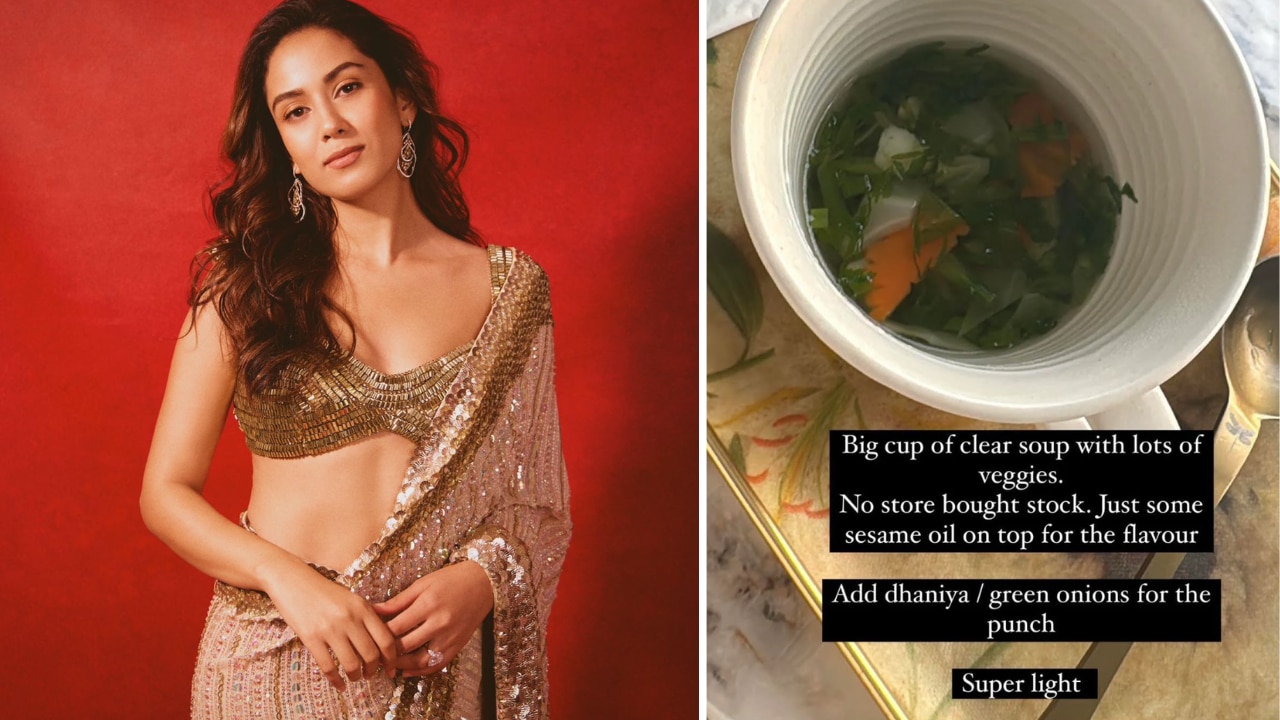 Mira Rajput’s go-to snack