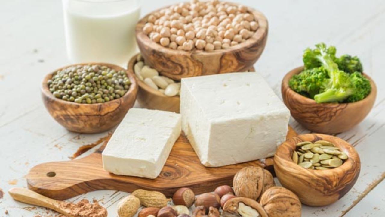 Vegetarian high-protein diet