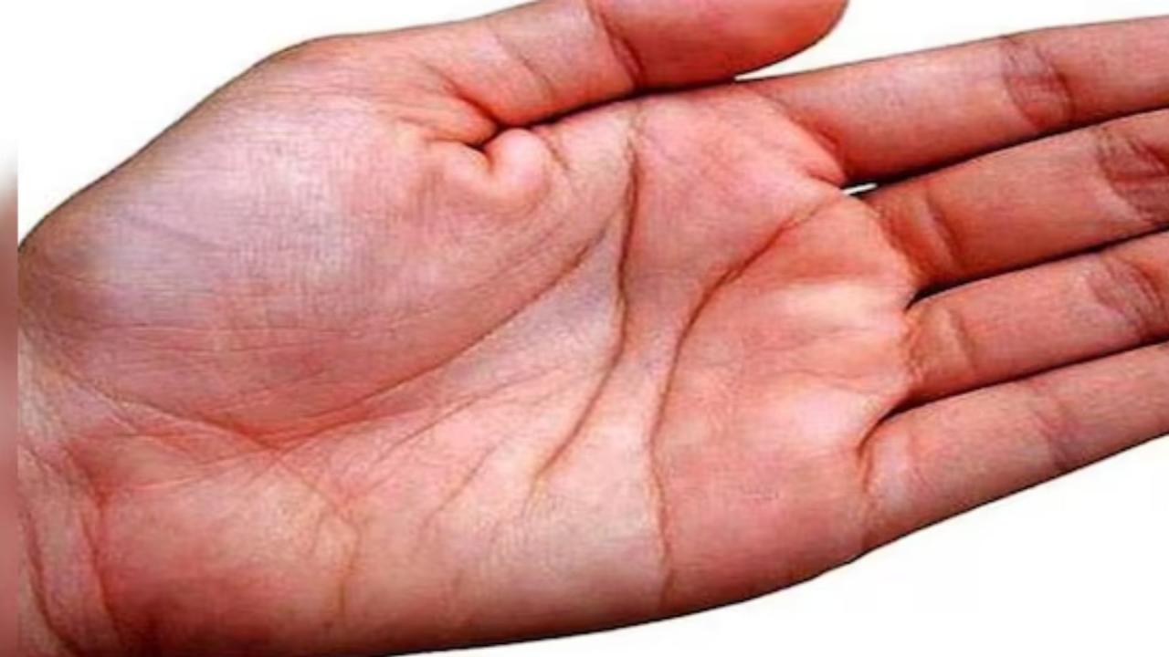 त्रिभुज का साइन