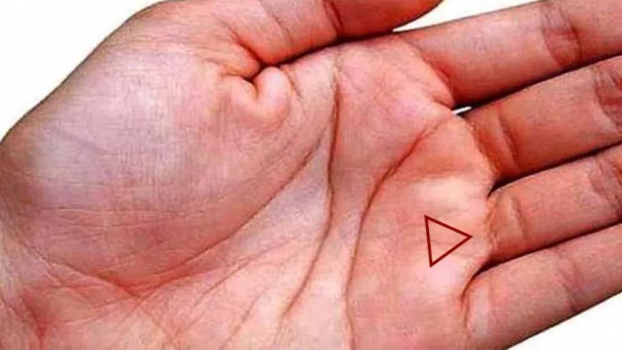 गंभीर बीमारियों से रहते हैं दूर 