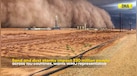  Sand, Dust Storms Affect About 330 Million People Due To Climate Change: UN 