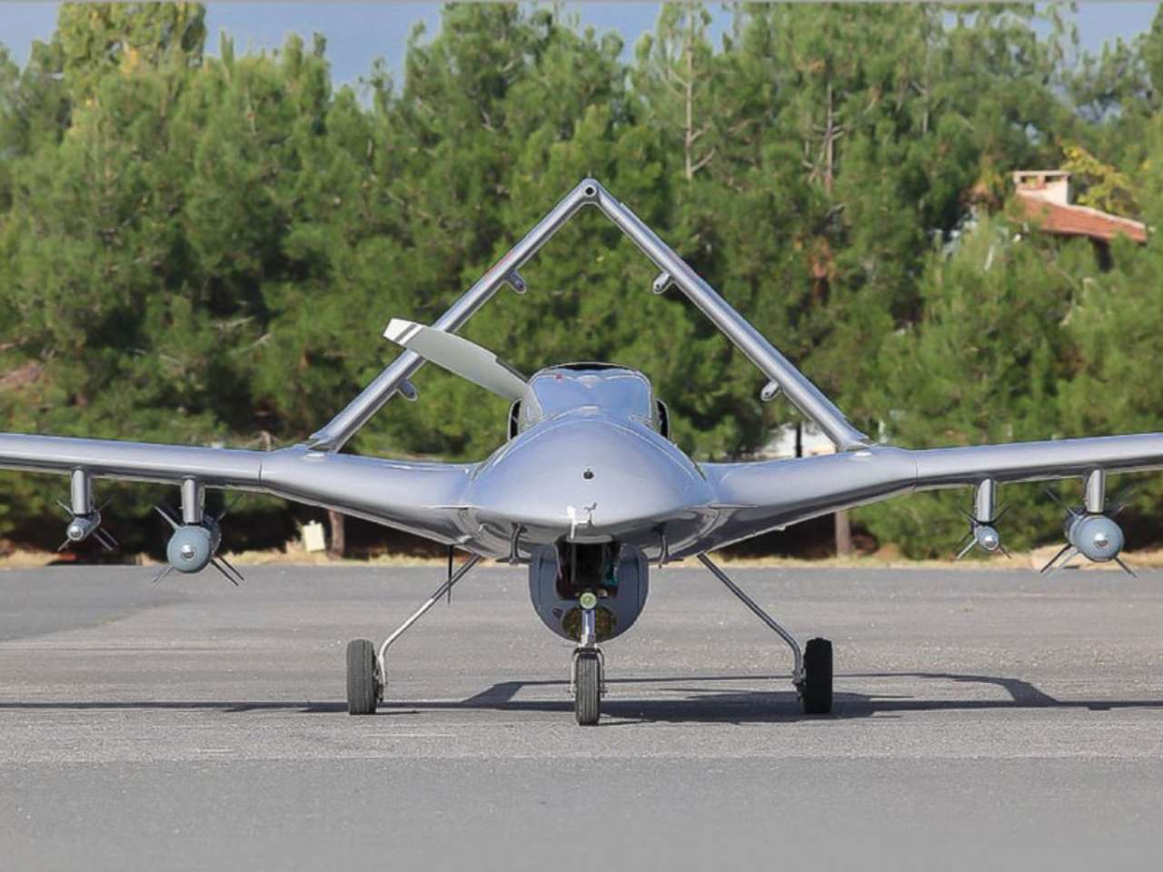 Bayraktar TB2 (Turkey)
