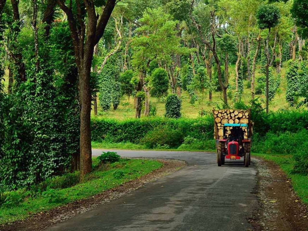 Bengaluru to Coorg route - Distance (270 km)