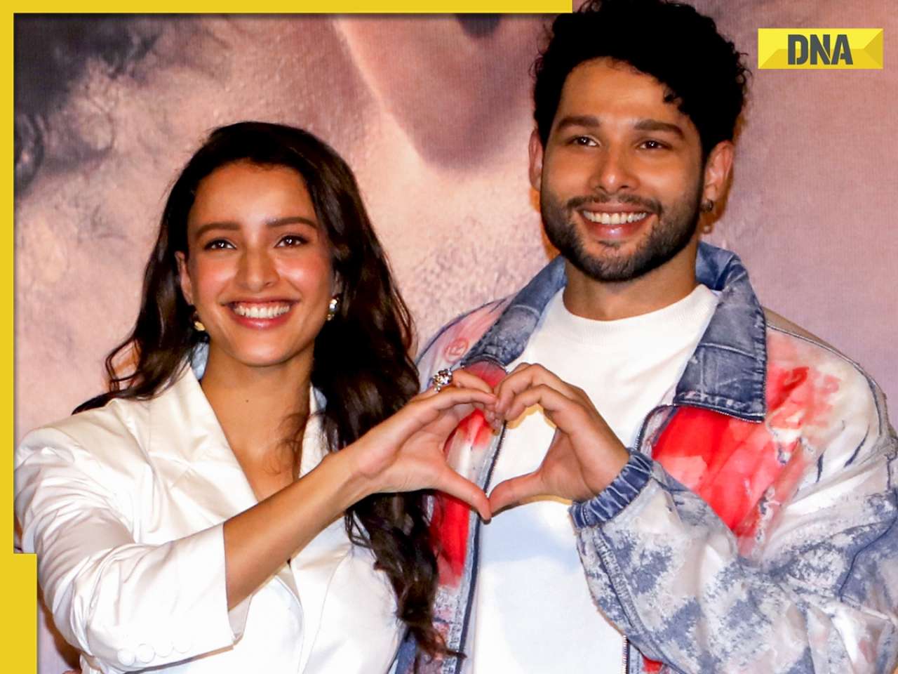 Before Dhadak 2, Siddhant Chaturvedi was set to romance Triptii Dimri in this romantic drama but he was replaced by...