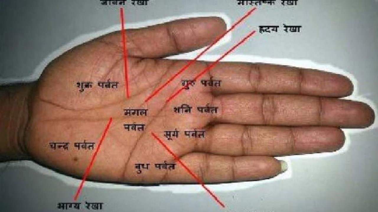 हथेली में शुक्र पर्वत का प्रभाव