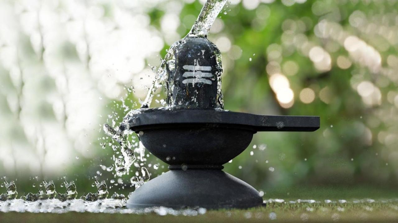Nag Panchami 2025: नाग पंचमी पर शिवलिंग पर अर्पित करें ये 6 चीज, महादेव की  होगी पूरी कृपा | DNA HINDI