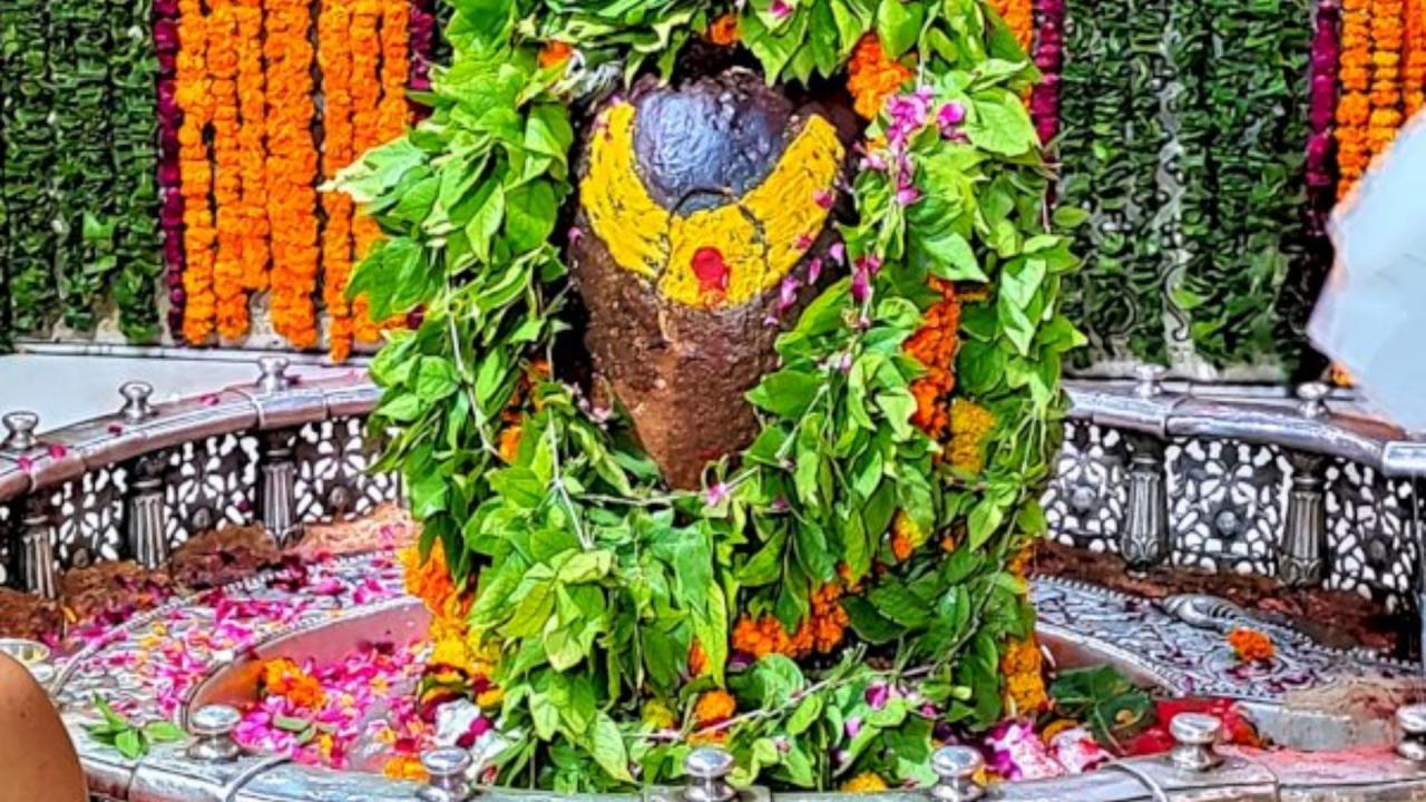 नाग पंचमी पर अर्पित करें बेलपत्र