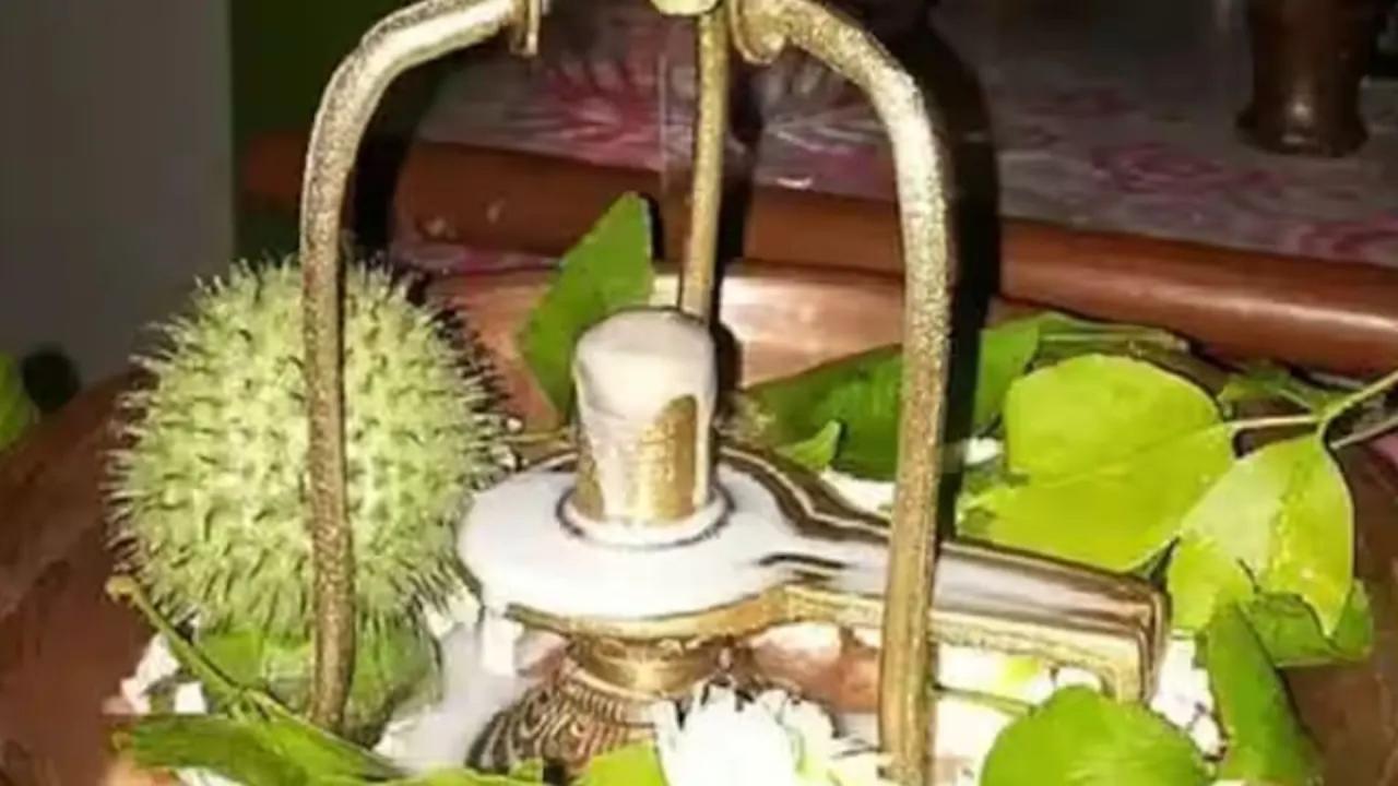 नाग पंचमी पर चढ़ाएं धतूरा 