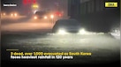  South Korea Floods: Heaviest Rain in 120 Years Wreaks Havoc | 3 Dead, Thousands Evacuated 