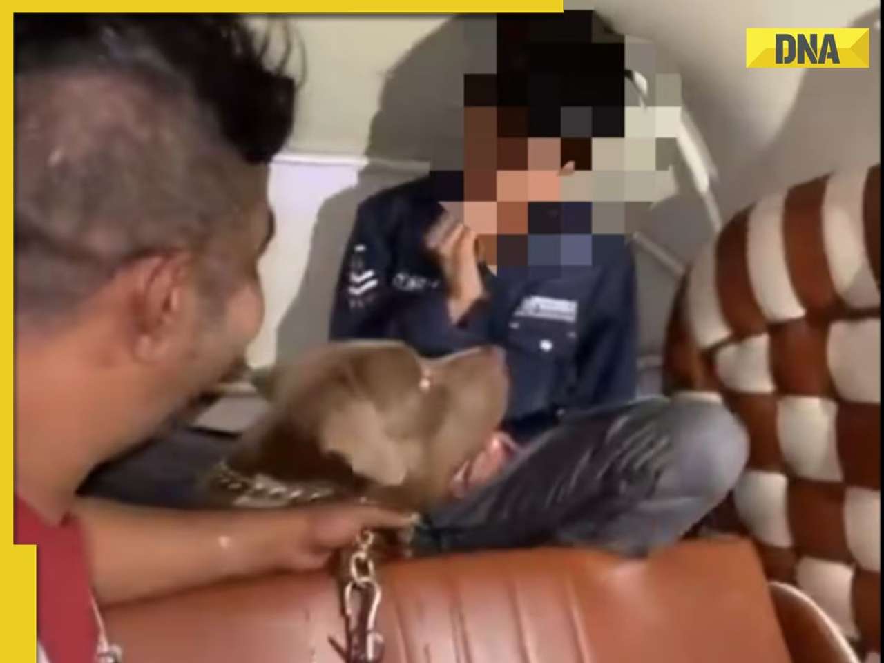 Pit bull attacks child in Mumbai auto rickshaw as owner laughs, video goes viral