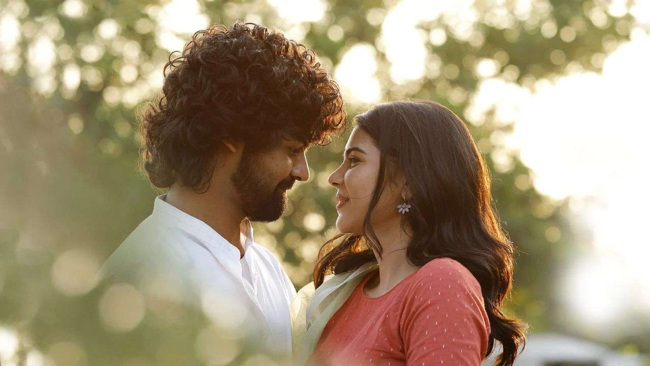 Hridayam: JioCinema/Hotstar