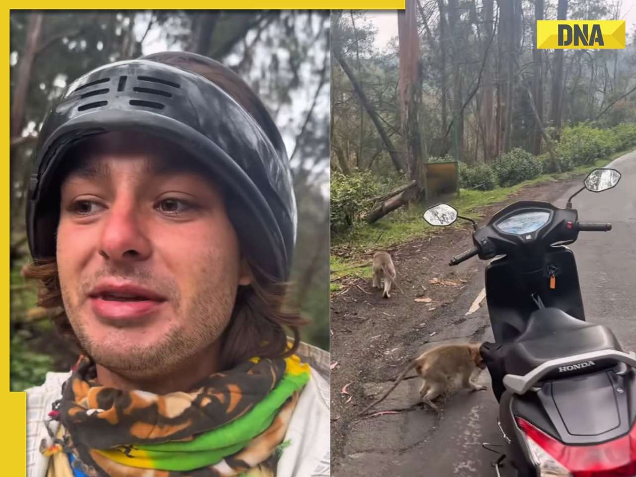 'Sharing is caring bro': US travel vlogger robbed by monkeys in Tamil Nadu, video goes viral