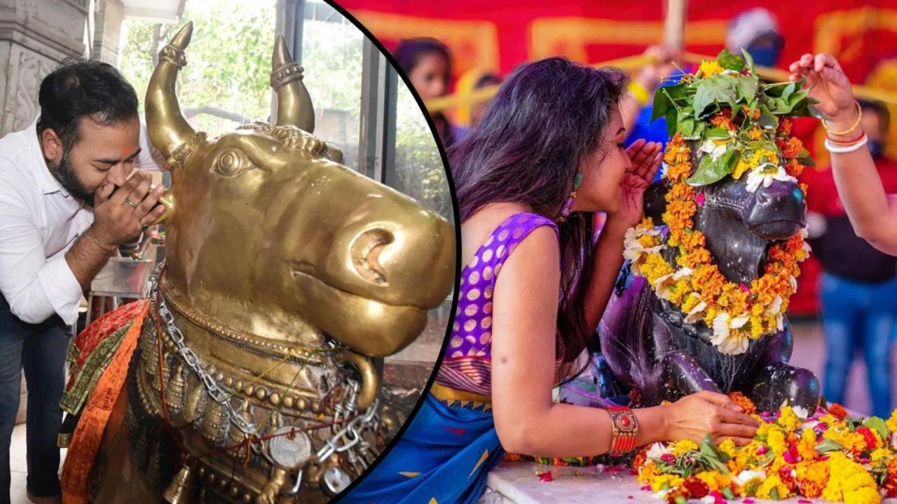 इस मंत्र का जरूर करें जाप