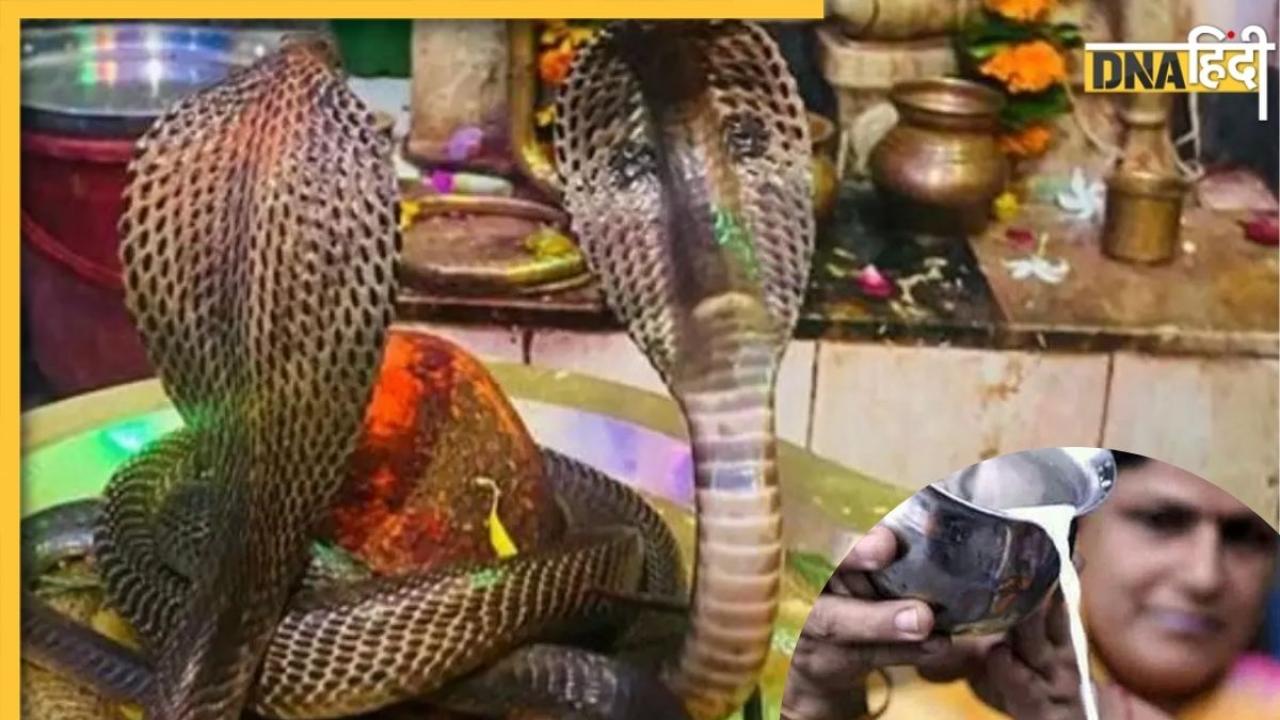 Nag Panchami 2025: कब है नाग पंचमी? क्यों चढ़ाया जाता है सांपों को दूध? जानें नागों की पूजा का महत्व