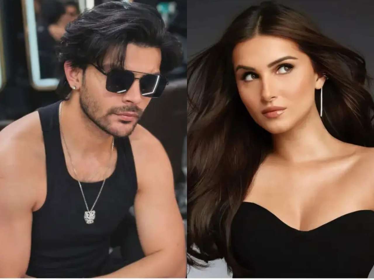 Tara Sutaria and Veer Pahariya