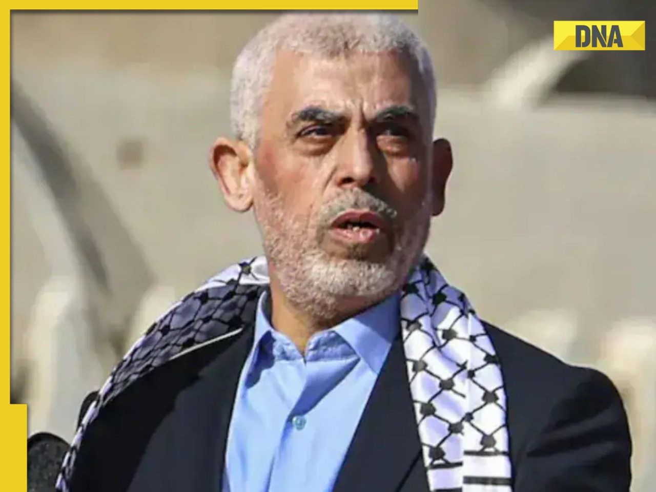 Ex-Hamas chief Yahya Sinwar's widow reportedly fled Gaza using fake passport, remarried: 'She is in...'