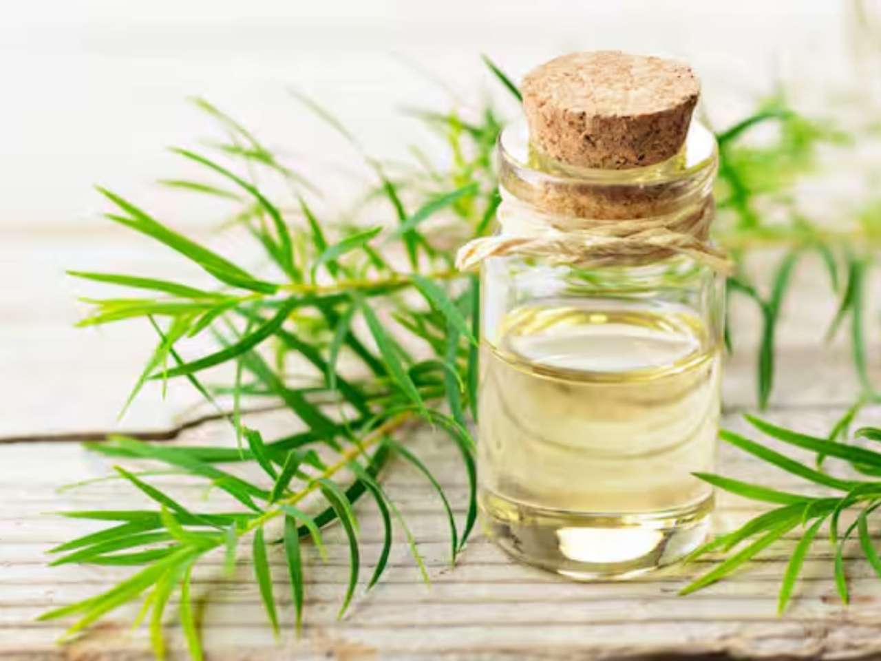 Tea tree oil