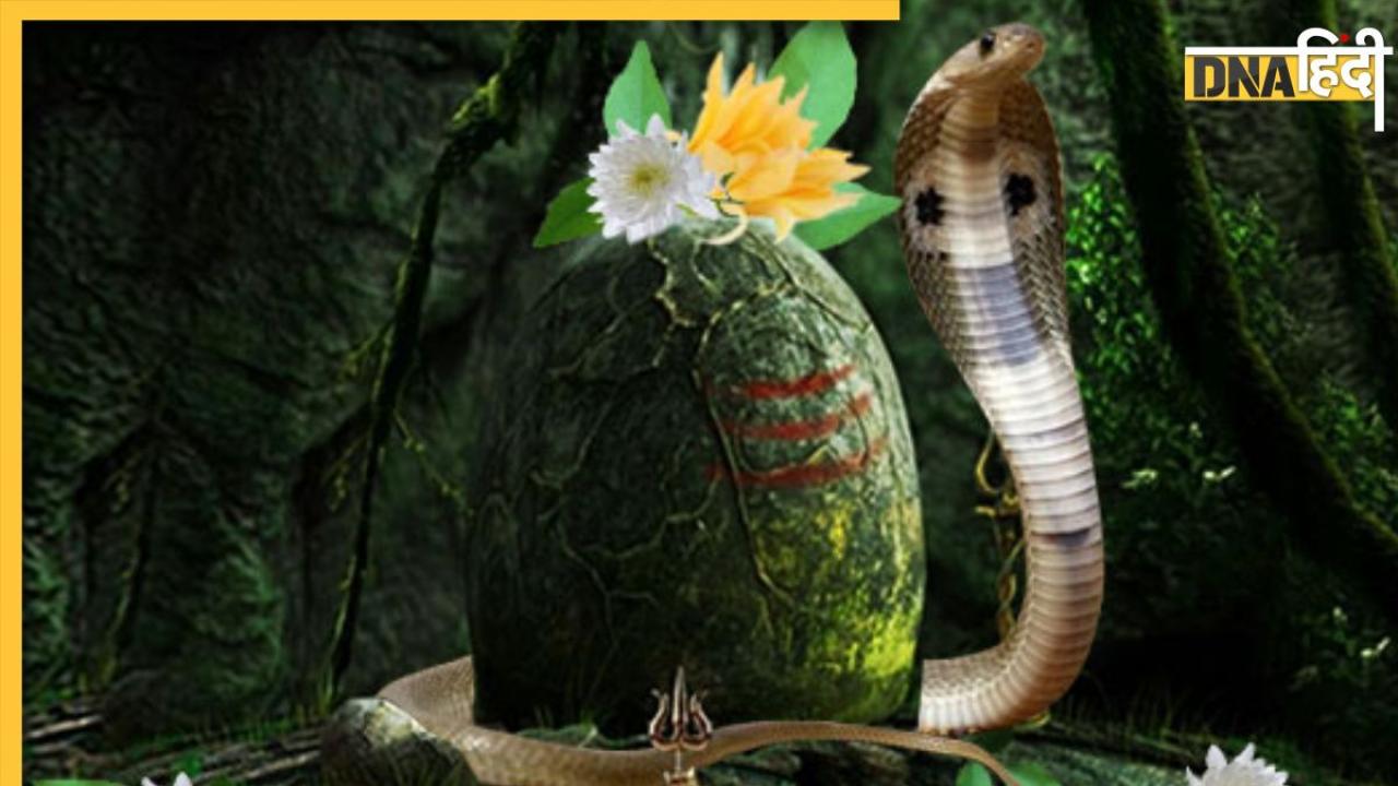 Nag Panchami 2025: नागपंचमी पर कर लिया इस स्त्रोत का पाठ तो मिल जाएगी कालसर्प और पितृदोष से मुक्ति, सुख सौभागय की होगी प्राप्ति