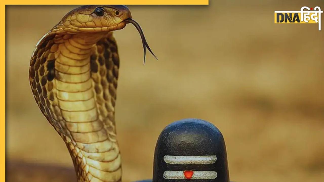 Nag Panchami 2025: आज है नागपंचमी का पर्व? यहां जानें पूजा विधि, मुहूर्त, मंत्र से लेकर आरती तक