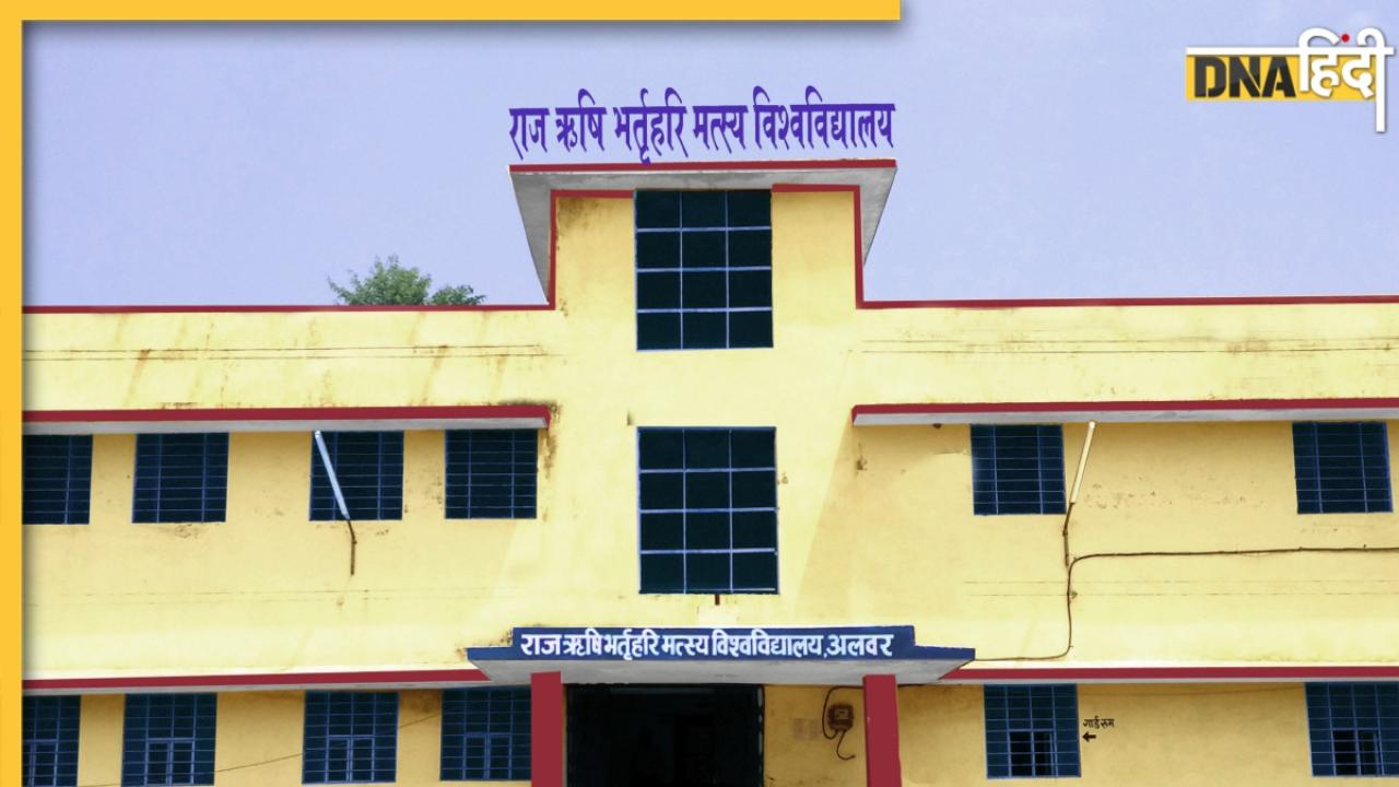 RRMBU Result 2025: राज ऋषि भर्तृहरि मत्स्य यूनिवर्सिटी ने जारी किया BA 1st ईयर का रिजल्ट, rrbmuniv.ac.in पर ऐसे करें चेक