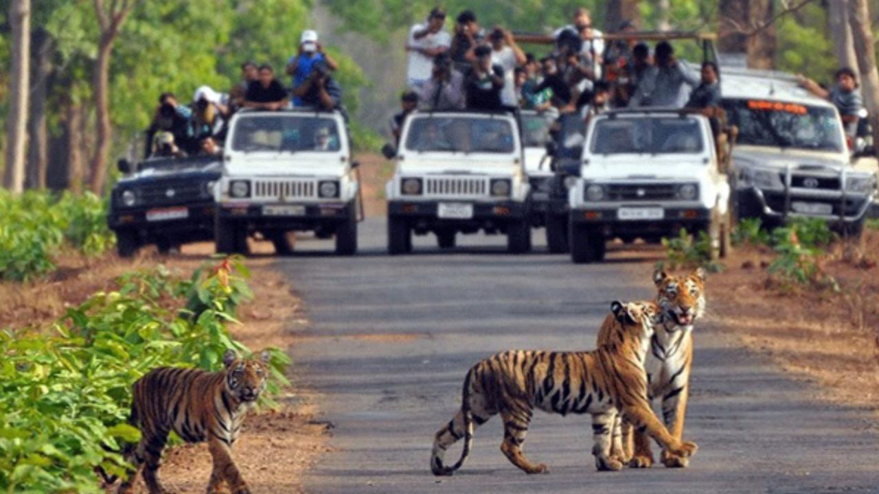 पेरियार नेशनल पार्क, केरल