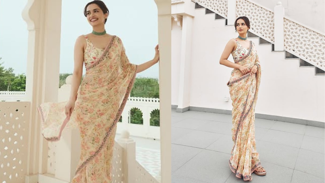 Manushi Chhillar wore organza saree